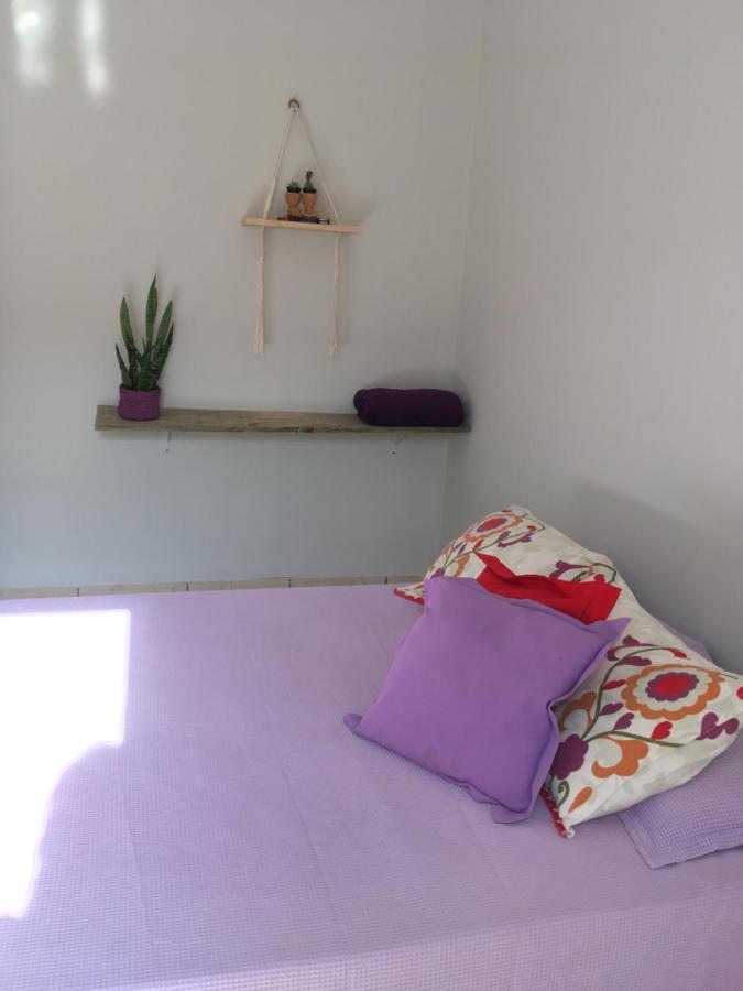 ברוטס Quarto Casal- Ipe מראה חיצוני תמונה