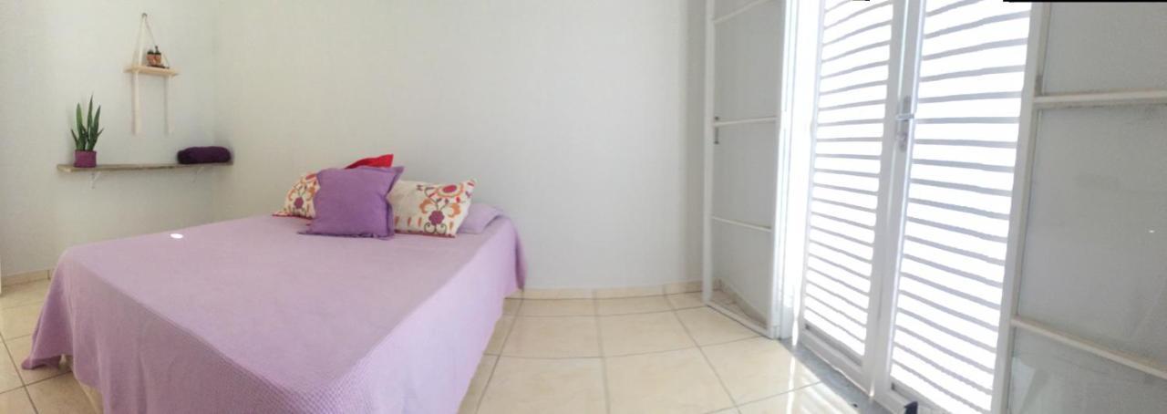 ברוטס Quarto Casal- Ipe מראה חיצוני תמונה
